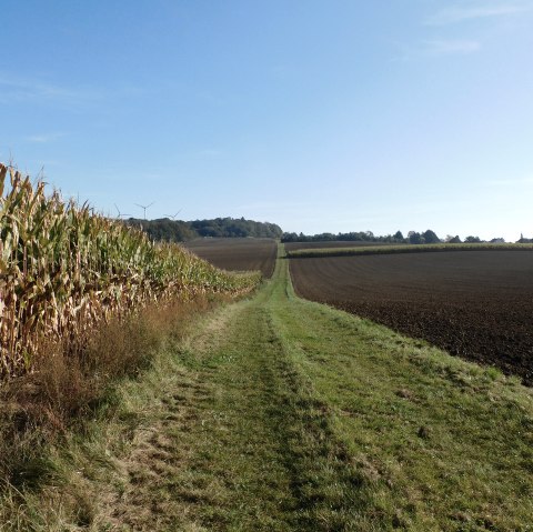 Trierweiler, © Deutsch Luxemburgische Tourist Info