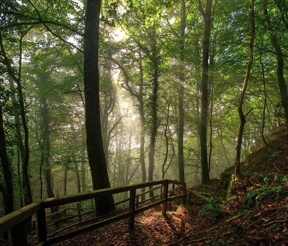 Felsenweg 4 - Ralingen-Rosport, © Naturpark Südeifel, C. Schleder