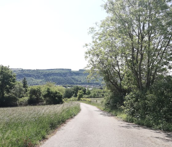 wanderweg-wasserbillig-e-10, © Deutsch Luxemburgische Tourist Information