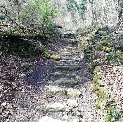 Wanderweg Moersdorf, © Deutsch-Luxemburgische Tourist-Information