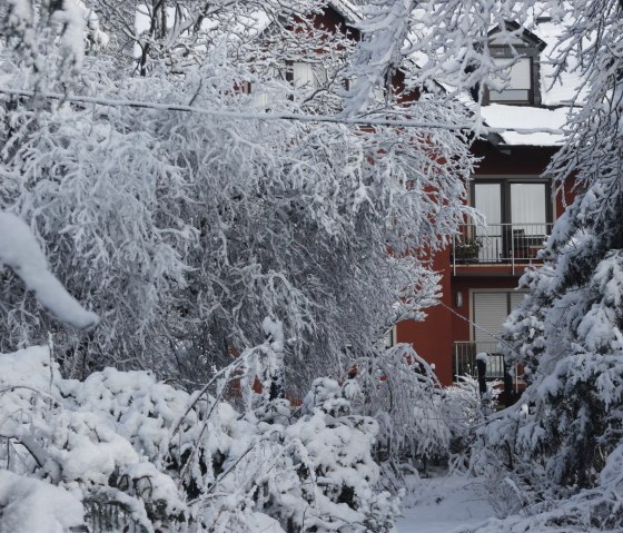 Haus Ilex m. Garten, Winter, © I. Weber