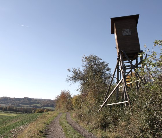 Naturpark Südeifel 70, © Reinhold Hansen