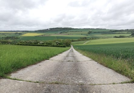 Felweg Fusenich, © Nicole Zimmer