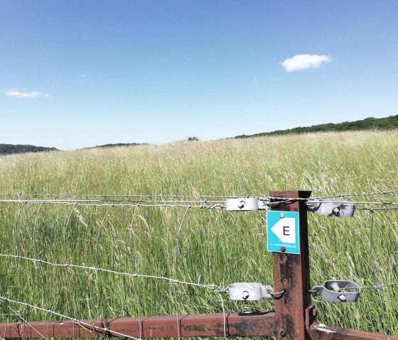 wanderweg-wasserbillig-e-9, © Deutsch Luxemburgische Tourist Information