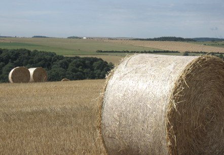 Manternach, © Deutsch Luxemburgische Tourist Info