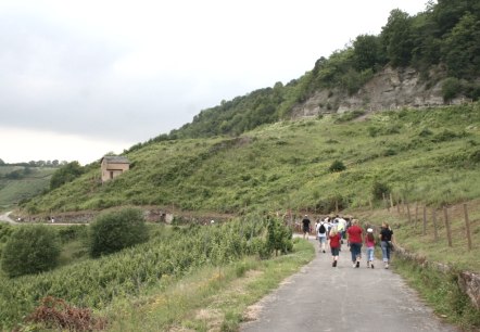 igel-weinberge_1, © Deutsch Luxemburgische Tourist Info