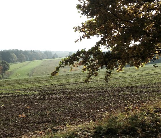 Uitzicht Rodt, © Deutsch Luxemburgische Tourist Info