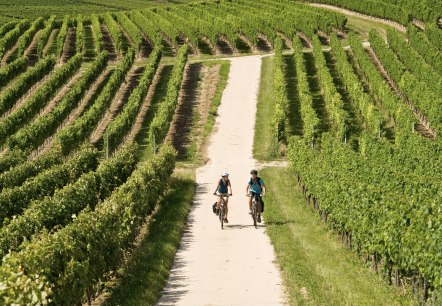 Radfahren, © Dominik Ketz