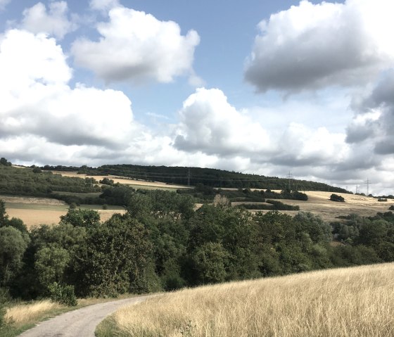 sentier culturel Wasserbillig, © Deutsch Luxemburgische tourist Information