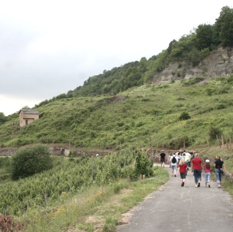 igel-weinberge_1, © Deutsch Luxemburgische Tourist Info