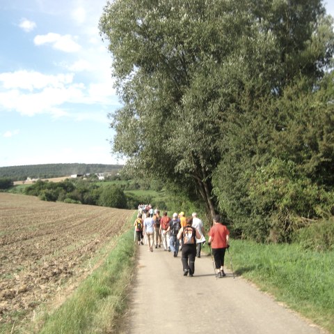 Eifel Wanderer, © Deutsc-Luxemburgische Tourist-Info