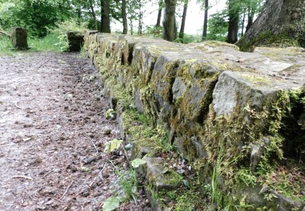 Römische Langmauer 2, © Nicole Zimmer