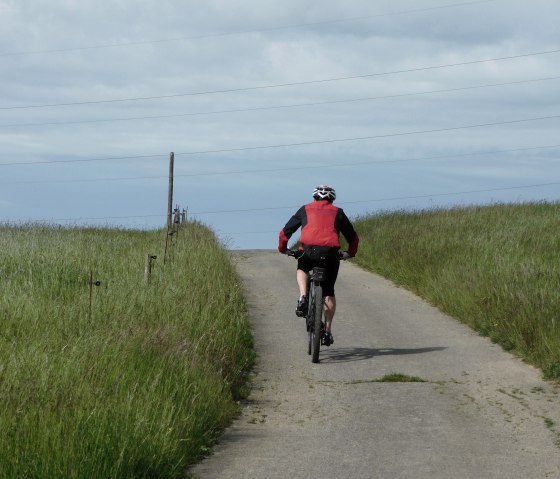 Radfahrer, © Nicole Zimmer