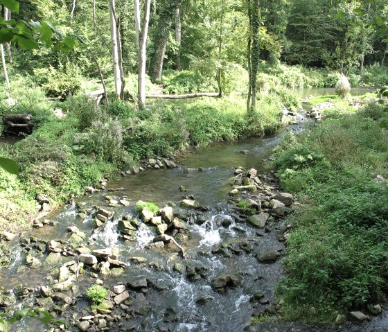 manternach-syre, © Deutsch Luxemburgisches Touristen Büro