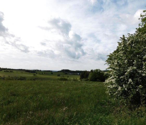 Igel 2, © Deutsch-Luxemburgische Tourist-Information