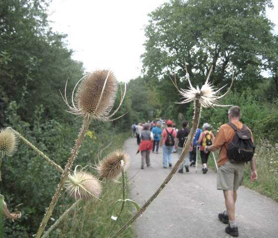 wanderer, © Deutsch Luxemburgische Tourist Info