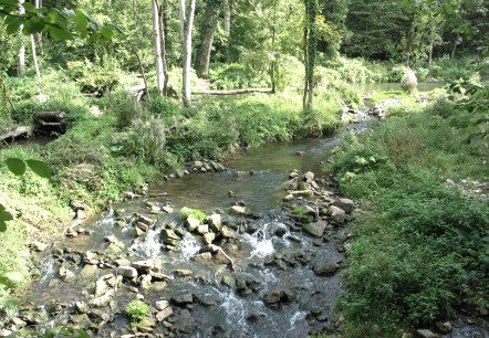 Wiewesch, © Deutsch-Luxemburgische Tourist-Info