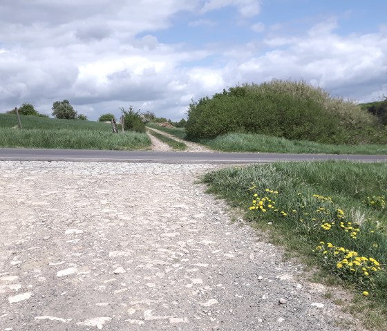 Wanderweg Newel, © Alexa Hansen