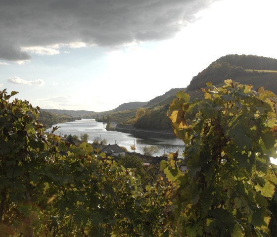 mosel-18, © Deutsch Luxemburgische Tourist Info