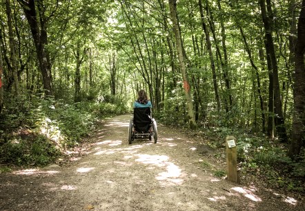 Hilfsgeräteroute Königswäldchen, © Tourist Info Bitburg