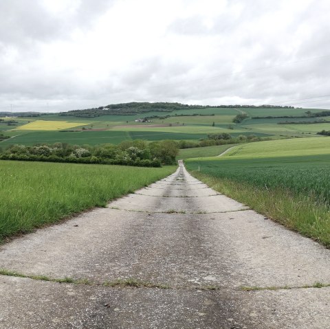 field path Fusenich, © Nicole Zimmer