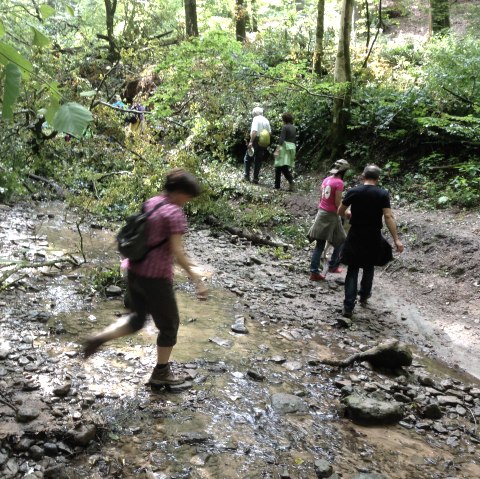 ruisseau à Sirzenich, © Deutsch Luxemburgische Tourist Info