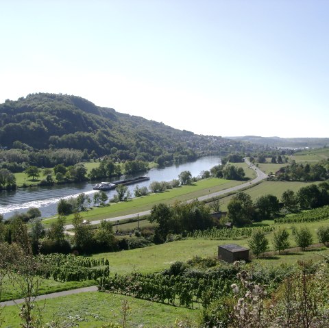 moseltal, © Deutsch Luxemburgische Tourist Info