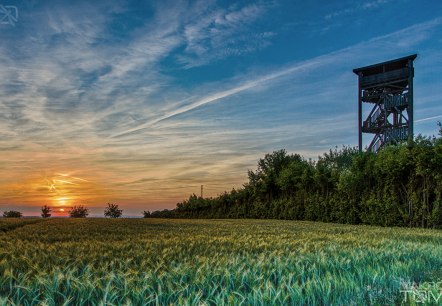 Rodt observation tower, © Deutsch Luxemburgische Tourist Info