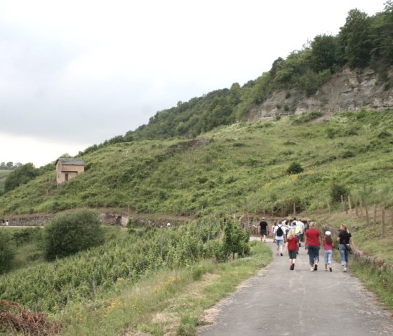 Weinberge, © Deutsch Luxemburgische Tourist Info