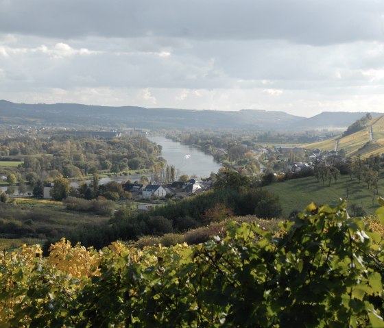 mosel-12, © Deutsch Luxemburgische Tourist Info