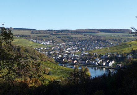 Grevenmacher Weinberg