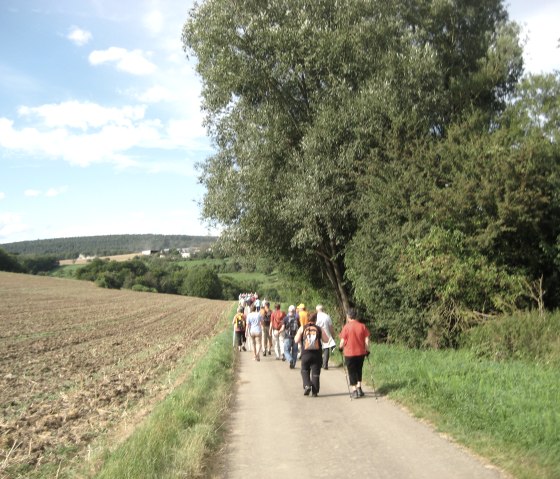 Wandelen Trierweiler-Udelfangen "Een spoor hoger", © Deutsch Luxemburgische Tourist Info