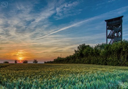 Zemmer-Rodt Aussichtsturm, © Deutsch-Luxemburgische Tourist-Information