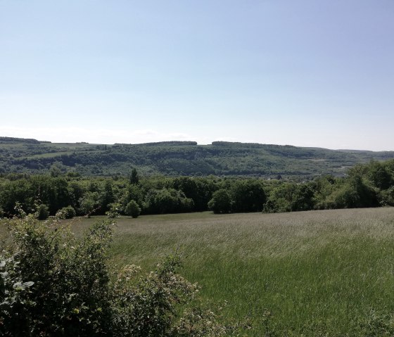 wanderweg-wasserbillig-e-8, © Deutsch Luxemburgische Tourist Information