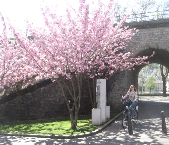 Wasserbillig Frühjahr, © Deutsch-Luxemburgische Tourist-Info