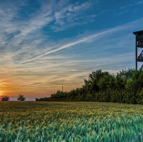 Uitkijktoren Rodt, © Deutsch Luxemburgische Tourist Info