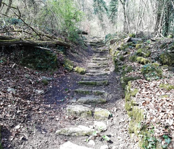 Wanderweg Moersdorf, © Deutsch-Luxemburgische Tourist-Information