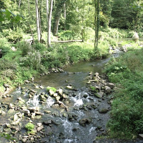 Wiewesch, © Deutsch-Luxemburgische Tourist-Info