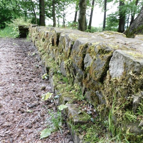 Römische Langmauer 2, © Nicole Zimmer