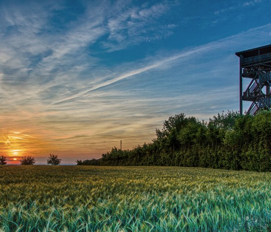 Nordic Walking Eifelblick, © Deutsch Luxemburgische Tourist Info