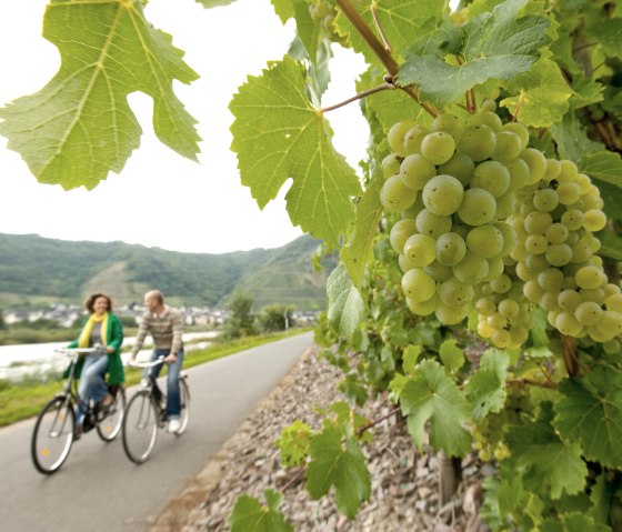 Radfahrer auf dem Mosel-Radweg, © Dominik Ketz Fotografie / Rheinland-Pfalz Tourismus GmbH