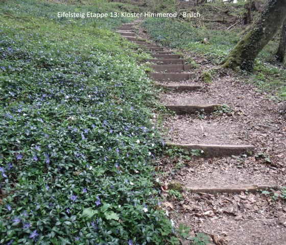 Wald, © Deutsch Luxemburgische Tourist Information