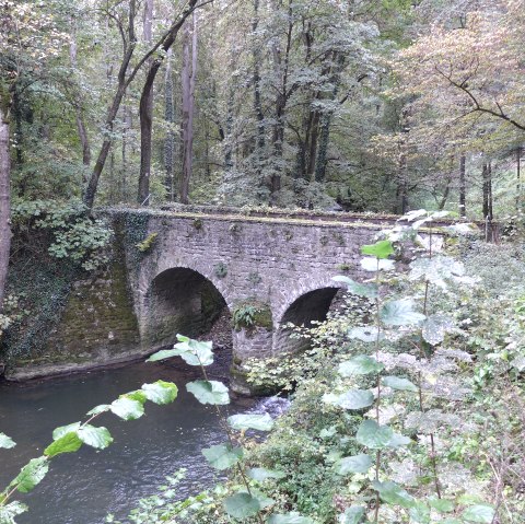 Lehrpfad, © Deutsch Luxemburgische Tourist Info