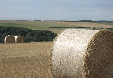 Heuballen, © Deutsch-Luxemburgische Tourist-Info