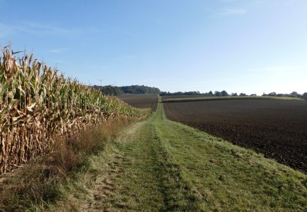 Trierweiler, © Deutsch Luxemburgische Tourist Info