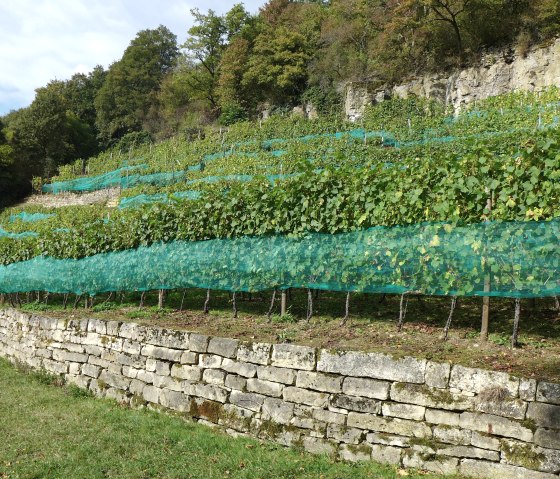 Lehrpfad, © Deutsch Luxemburgische Tourist Info