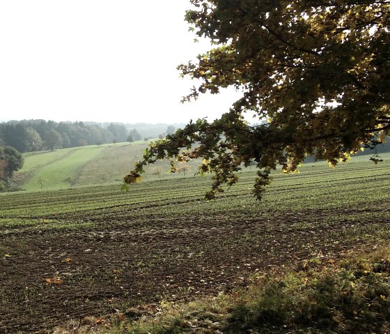 Zemmer, © Deutsch-Luxemburgische Tourist-Information