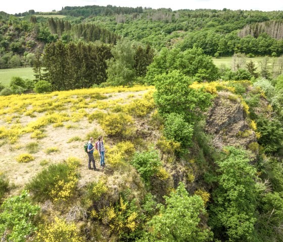 ET-2022-155-Naturwanderpark Deluxe, Eifel-Gold Route, Irsental bei Daleiden-© Eifel Tourismus GmbH, Dominik Ketz, © Eifel Tourismus GmbH, Dominik Ketz