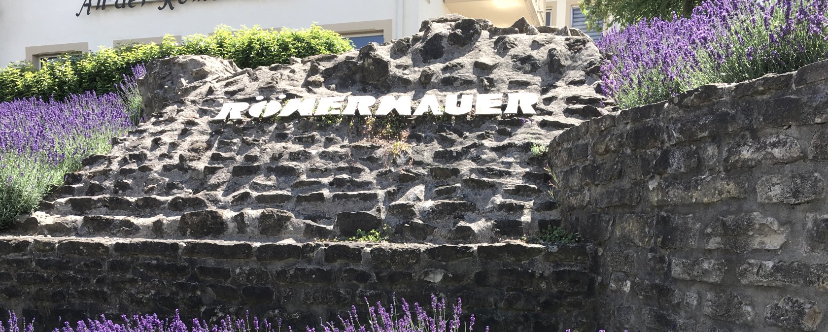 Römermauer mit Lavendel, © TI Bitburger Land