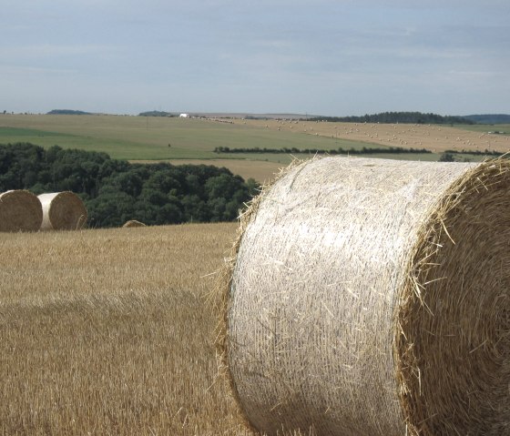 Manternach, © Deutsch Luxemburgisches Tourist Info